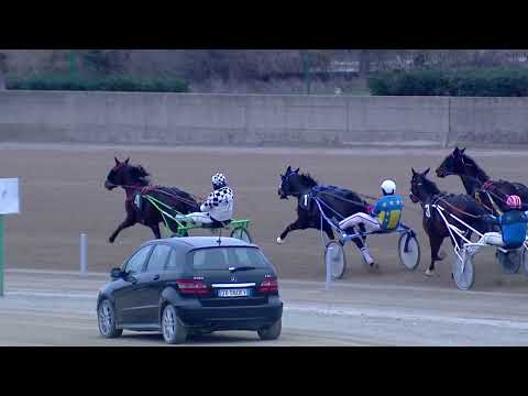 Ippodromo dei Sauri - 4' corsa del 16 gennaio 2025