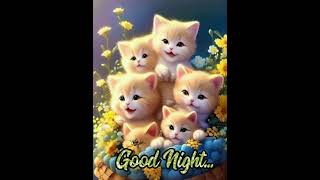 Download lagu ucapan selamat malam yang lucu mp3 Download lagu ucapan selamat malam yang lucu mp3