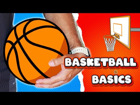 Teach the basics of BASKETBALL for youth PE 🏀