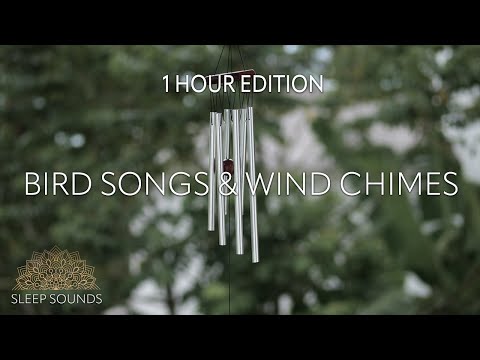 Bird Songs & Wind Chimes  • 1hr • Sleep • Study • Focus • Meditation • Relaxation