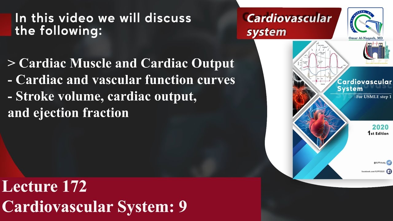 Cardiac and vascular function curves | Stroke volume, cardiac output, and ejection fraction