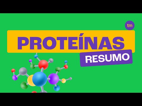 PROTEÍNAS: Descubra os Tipos, Classificação e Composição