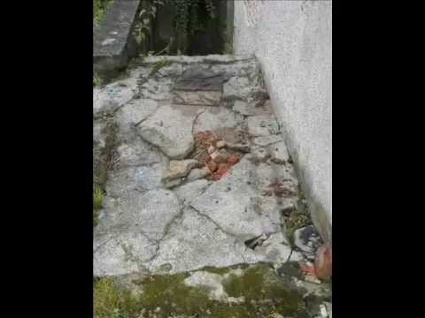 ,,Coolturyści pod jabłonką" Działaj Lokalnie VII