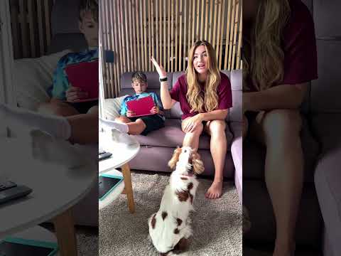 Chudáčci týraní mazlíčci 😔. #dog #funny #kids