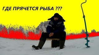 Все о ловля плотвы в глухозимье на реке