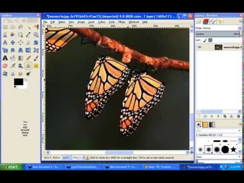 butterflies clone tool