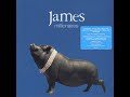 JAMES - Surprise