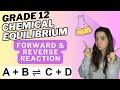 Chemical Equilibrium Forward And Reverse Reaction Grade 12 Chemistry