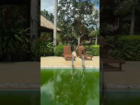 Shorts | Nature | Drone shots