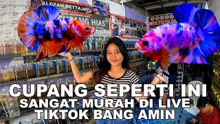 Download lagu BANG AMIN LIVE TIKTOK EVERY DAY FISH TRADE CUPANG mp3 Download lagu BANG AMIN LIVE TIKTOK EVERY DAY FISH TRADE CUPANG mp3