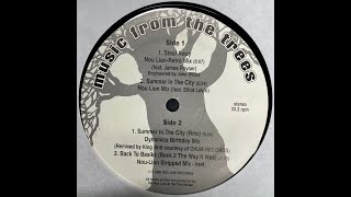 Music From The Trees - Steal Away (Nou Lion Retro Mix) [1996]
