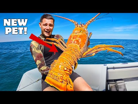 I Found GIANT Lobsters and Kept them as Pets...