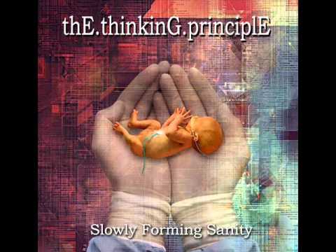 THE THINKING PRINCIPLE - A Nihilistic - Melodic Technical Metal.wmv