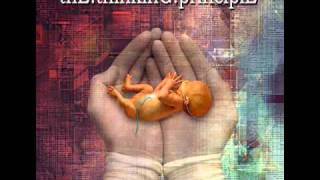 THE THINKING PRINCIPLE - A Nihilistic - Melodic Technical Metal.wmv