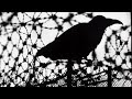 Joan Baez - Walls of Red Wing (Bob Dylan) ~ 15-May-1976, Gatesville, USA