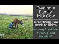 Owning a Family Milk Cow Basics | Family Milk Cow on 5 Acre Homestead | Self Sufficient Homestead