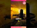 Benefits Of Rudrashtakam Rudrashtakam Rudrashtkam Mahadev Lordshiva Shorts Viral Trending