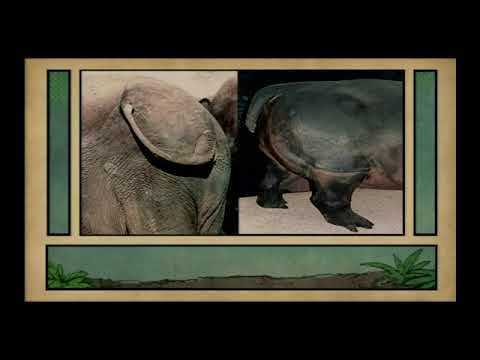 Answers in Genesis session 6