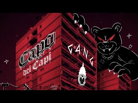 AlphaVipQ and TeamLioSantoZ