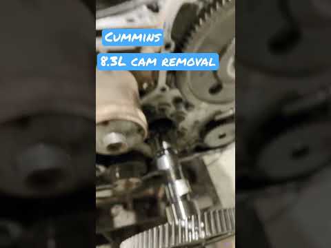 Cummins 8.3L cam removed