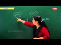 CBSE Class 1 Maths CBSE Maths Chapter 3 Addition NCERT CBSE Syllabus Maths For Grade 1