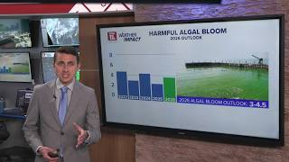 NOAA releases summer forecast for 2026 harmful algal bloom