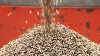 Seeds of Time - San Francisco Green Film Festival