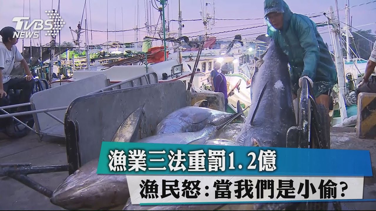 漁獲誤差>10%罰金50萬起　漁民怒：當我們是小偷？