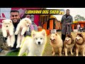 Biggest Dog show of Punjab,India😱 Exotic Breeds