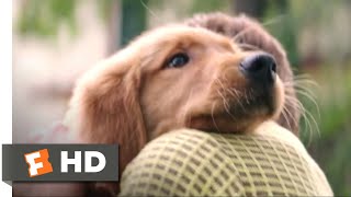 A Dog&#39;s Purpose (2017) - I Had a Boy Scene (1/10) | Movieclips