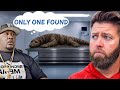 5 ANIMALS THAT HAVE ONLY BEEN SEEN ONCE DEFAULT Thumbnail