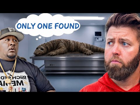 5 ANIMALS THAT HAVE ONLY BEEN SEEN ONCE 