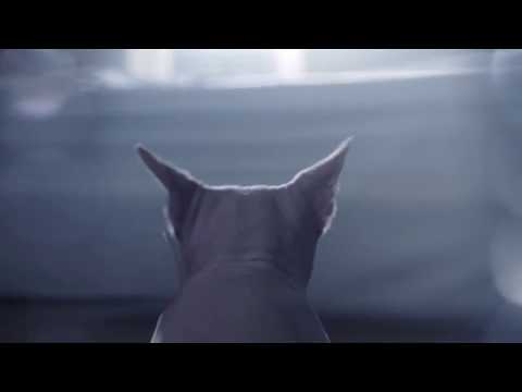 The Parlotones - Sleepwalker (featuring Khuli Chana)