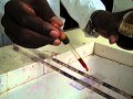 How to Prepare a Gram Stain - Multi-Lingual Captions ...