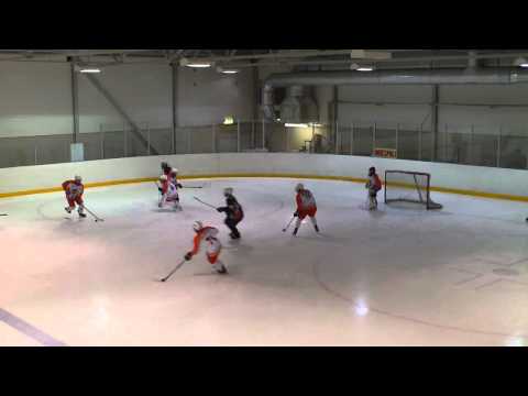 HPK Oranssi - Tappara Citius 7-3 18.2.2012 Hämeenlinna