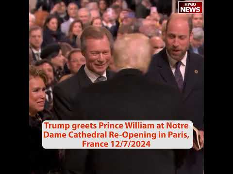 Trump Meets British Heir to Throne Prince William in Paris After Notre Dame Reopening