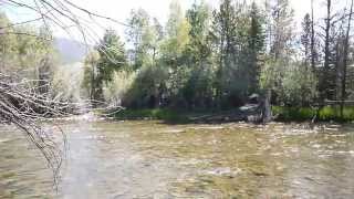 preview picture of video 'Blue River Run, Silverthorne, Colorado by Realtor Jason Smith'