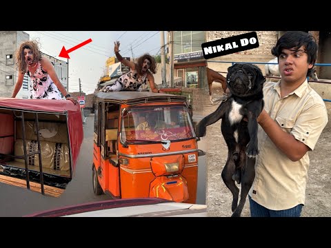 Mamu Ghar Sy Bhag Gea 😭 is Dog Ko Hma Nikal Dena Cahia Kia 😞