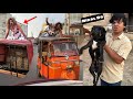 Mamu Ghar Sy Bhag Gea Is Dog Ko Hma Nikal Dena Cahia Kia
