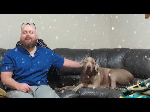 Poor Man’s Portmanteau review echoes: The Dancer