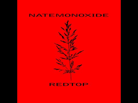 Nate Monoxide - Better Luck Next Time