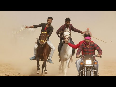 kutch Horse Race ni Dhrang | ધ્રાંગ કચ્છ ની સૌથી મોટી રેસ Video