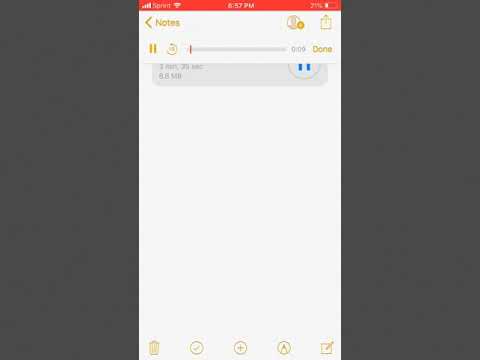 Nobody Freestyle X SC