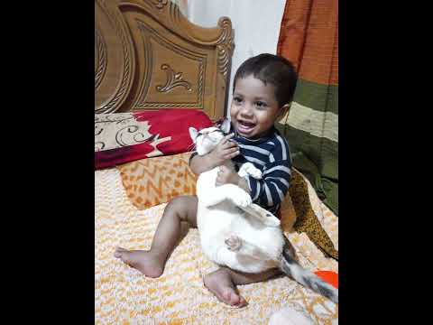 Habiba Playing with cat 3