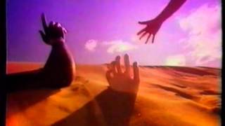 Real Life   Openhearted