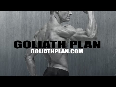 THE GOLIATH PLAN