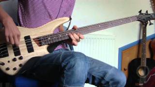 Red Hot Chili Peppers - Goodbye Hooray [Bass Cover]