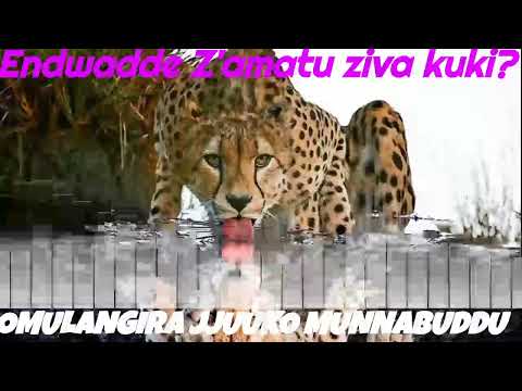 Endwadde Z'amatu ziva kuki? - Omulangira Jjuuko Munnabuddu
