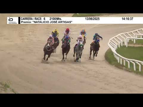 13/06/2025 – Hipodromo Las Piedras – Carr 6 – "NATALICIO JOSÉ ARTIGAS"