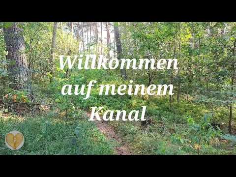 💛 Was bedeutet "Sei Einfach Vollkommen Authentisch?" 💛 Inspiration 💛 Alltag 💛 Frieden 💛 Liebe 💛